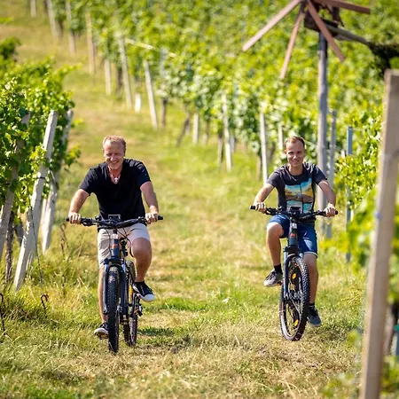 Weingut-gaestehaus Birnstingl Pansiyon *