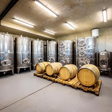 Проживание в семье Weingut-gaestehaus Birnstingl Гамлиц