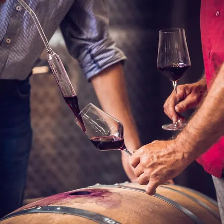 Weingut-gaestehaus Birnstingl Alloggio in famiglia *