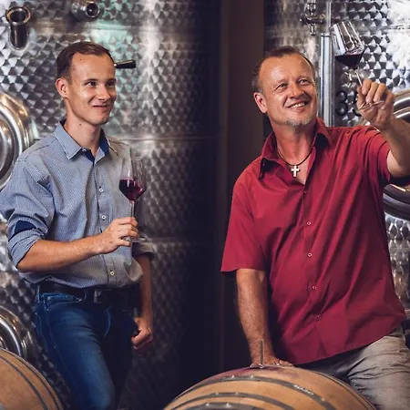 Проживание в семье Weingut-gaestehaus Birnstingl Гамлиц