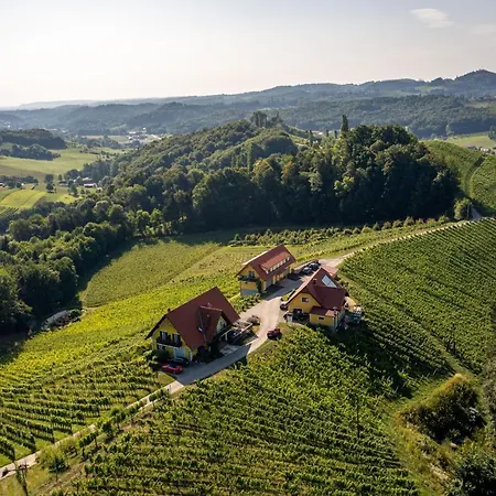 Weingut-gaestehaus Birnstingl Pansiyon *