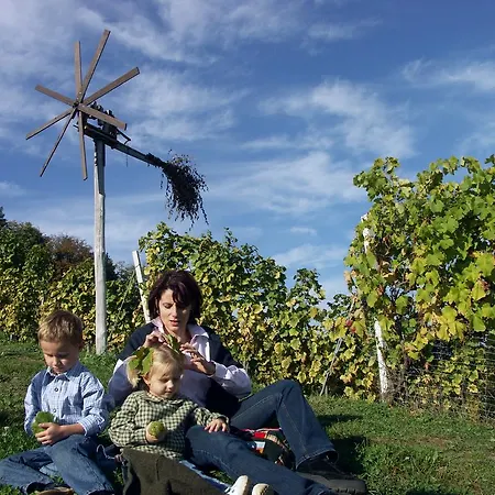 Weingut-gaestehaus Birnstingl *