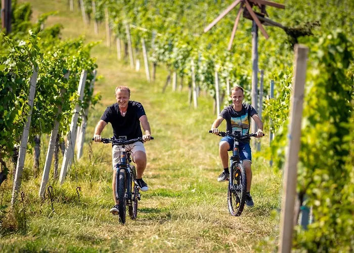 Weingut-gaestehaus Birnstingl Проживание в семье *