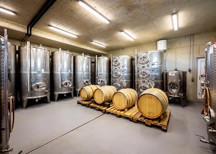 Проживание в семье Weingut-gaestehaus Birnstingl Гамлиц