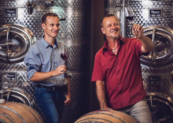 Проживание в семье Weingut-gaestehaus Birnstingl Гамлиц