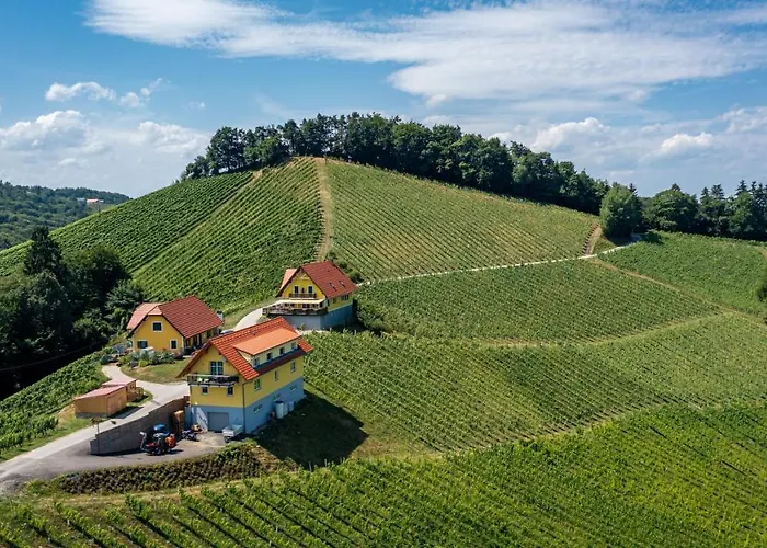 Weingut-gaestehaus Birnstingl Гамлиц