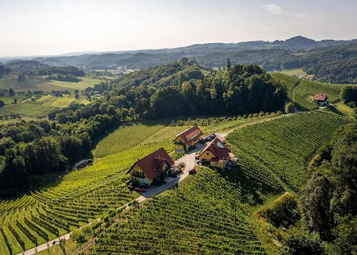 Weingut-gaestehaus Birnstingl Проживание в семье *